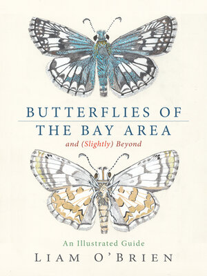 cover image of Butterflies of the Bay Area and (Slightly) Beyond